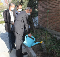 کاشت ۱۲ اصله نهال به یاد افراد درگذشته بر اثر کرونا در دانشگاه تهران