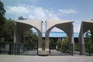 برگزاری وبیناری در حوزه زبان و علوم‌شناختی با حضور استاد زبان‌شناسی دانشگاه ام‌آی‌تی