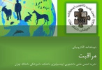 نشریه علمی دانشجویی مراقبت منتشر شد